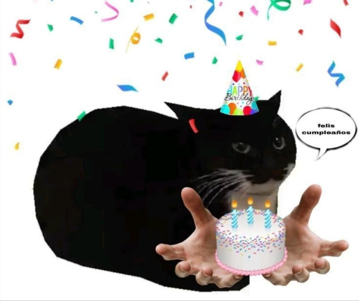 Котик с тортом